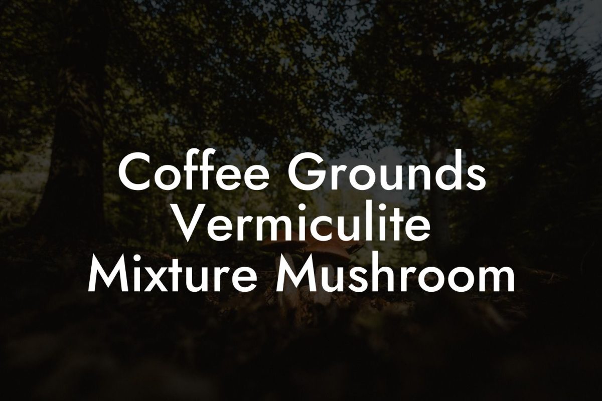 Coffee Grounds Vermiculite Mixture Mushroom