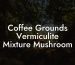 Coffee Grounds Vermiculite Mixture Mushroom