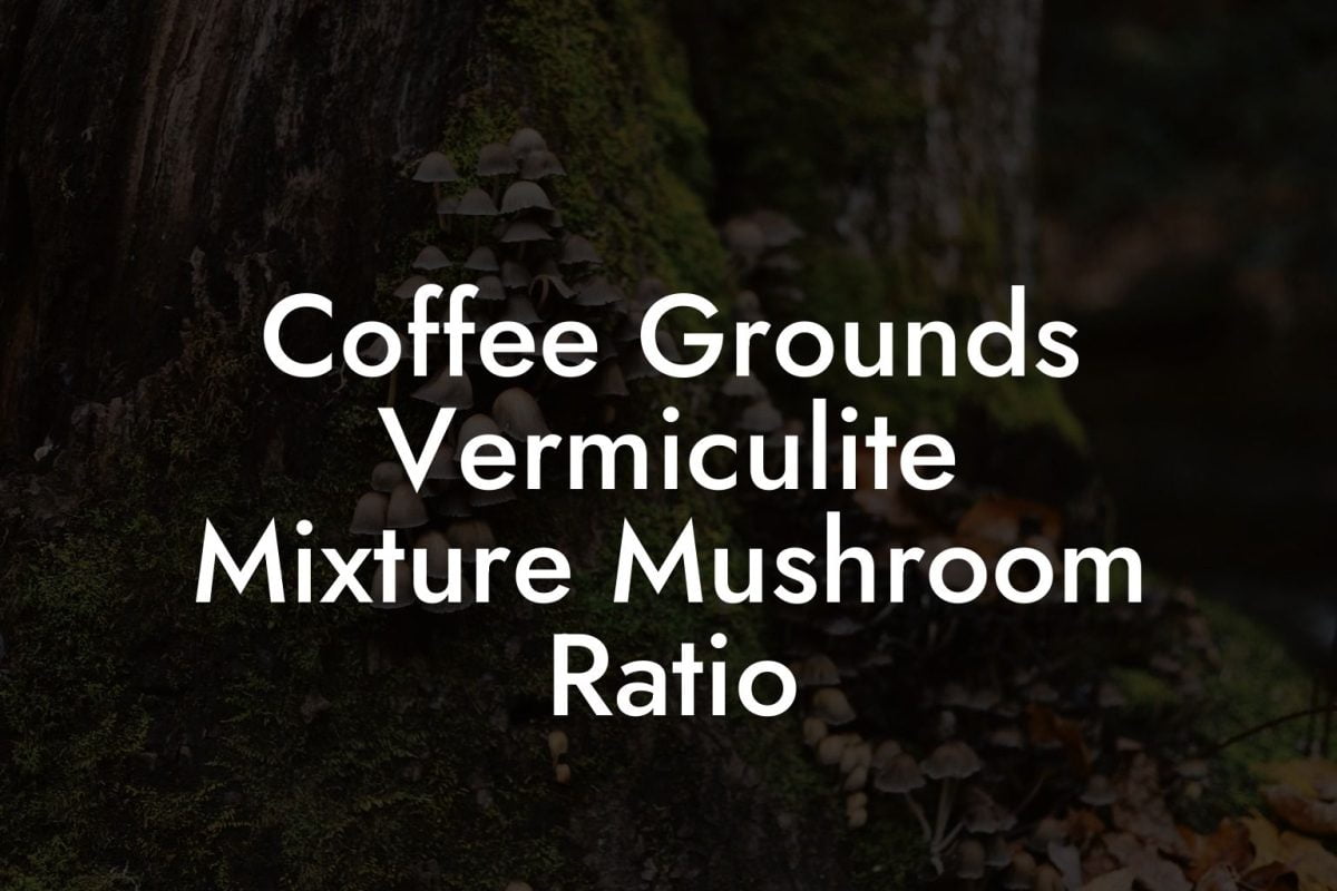 Coffee Grounds Vermiculite Mixture Mushroom Ratio