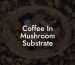 Coffee In Mushroom Substrate