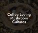 Coffee Loving Mushroom Cultures