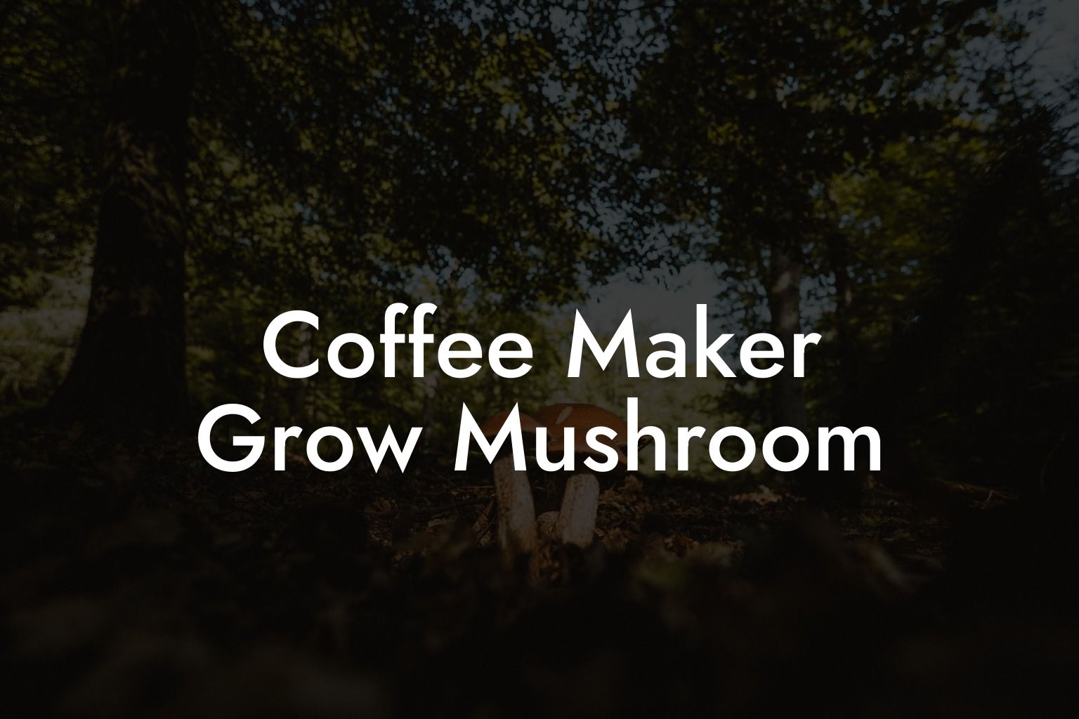 Coffee Maker Grow Mushroom