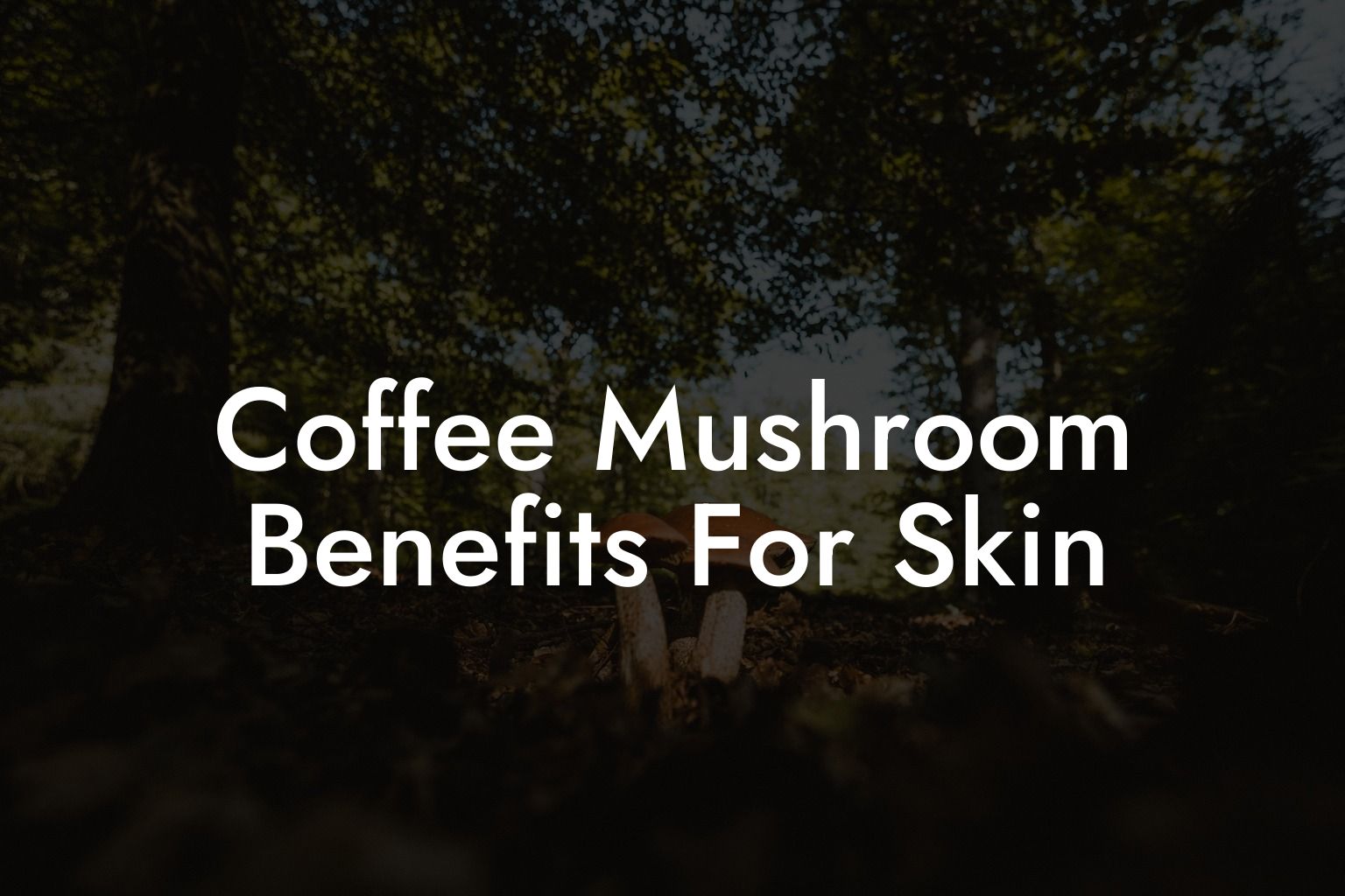 Coffee Mushroom Benefits For Skin
