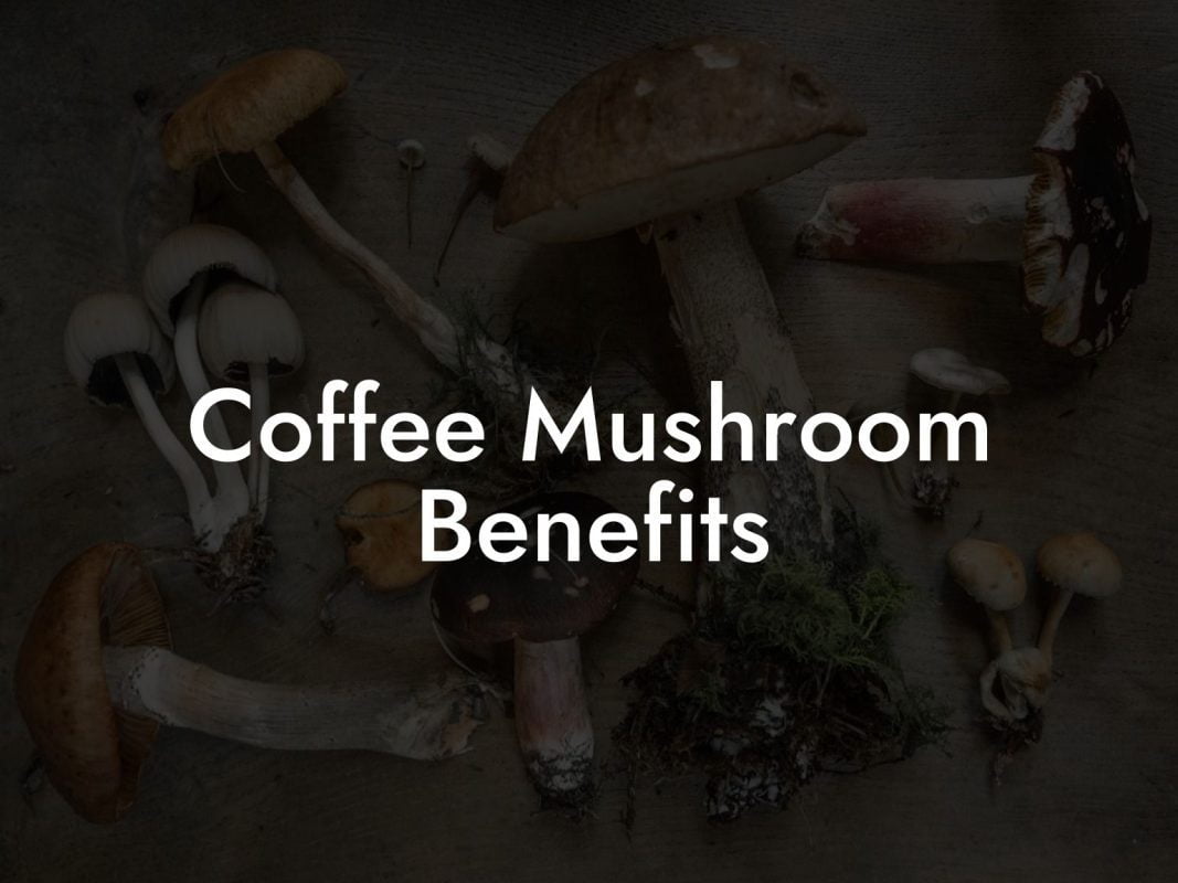 Coffee Mushroom Benefits