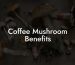 Coffee Mushroom Benefits