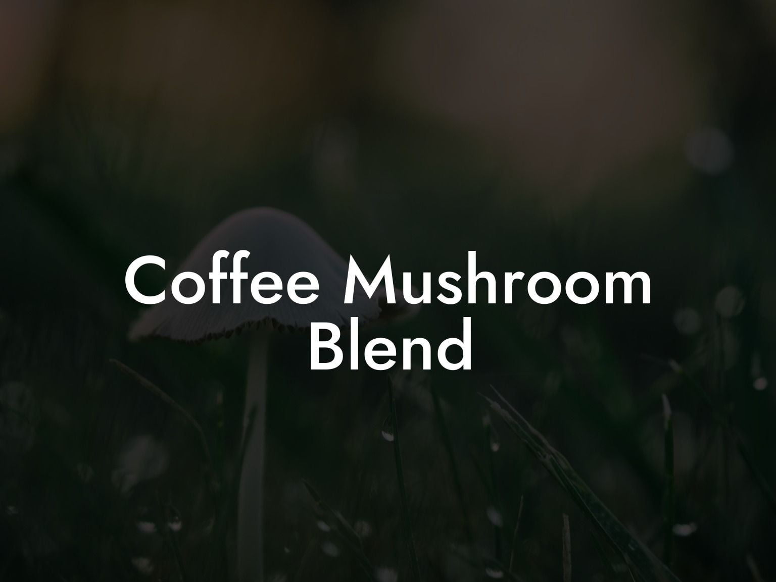 Coffee Mushroom Blend