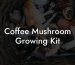 Coffee Mushroom Growing Kit