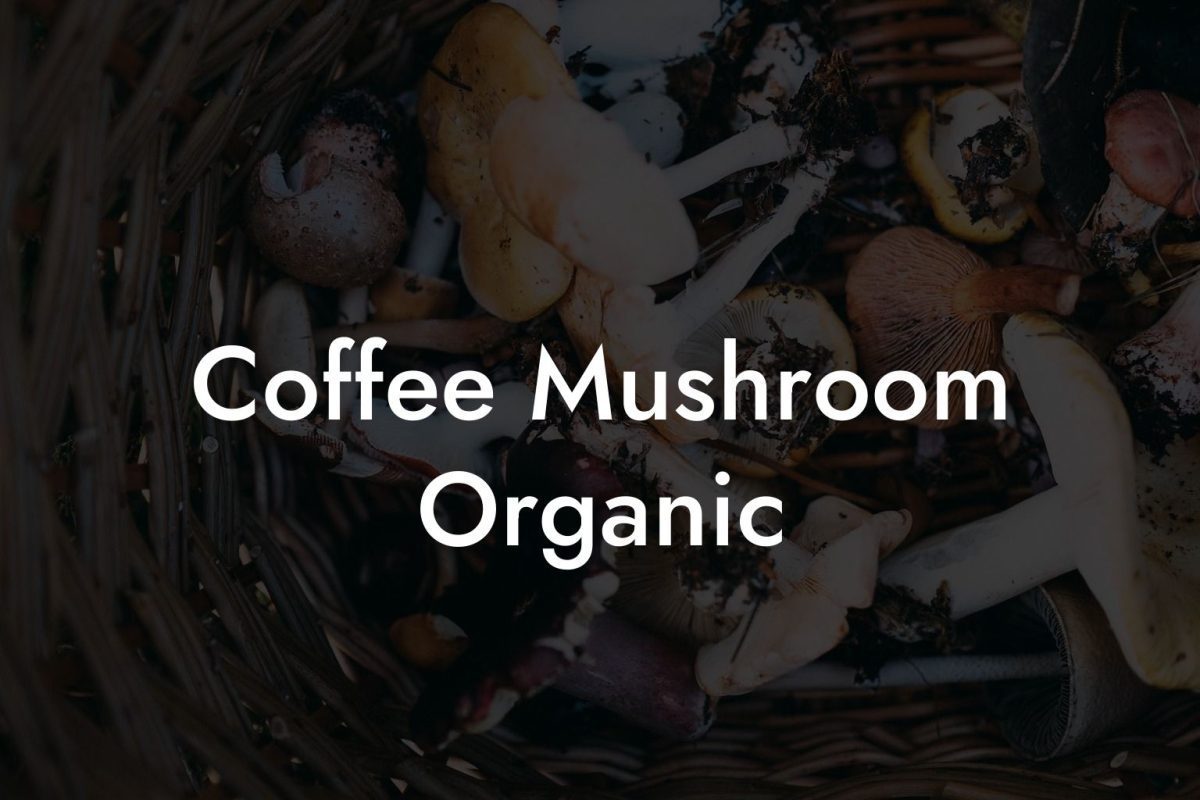 Coffee Mushroom Organic