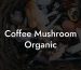 Coffee Mushroom Organic