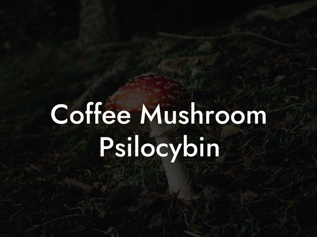 Coffee Mushroom Psilocybin
