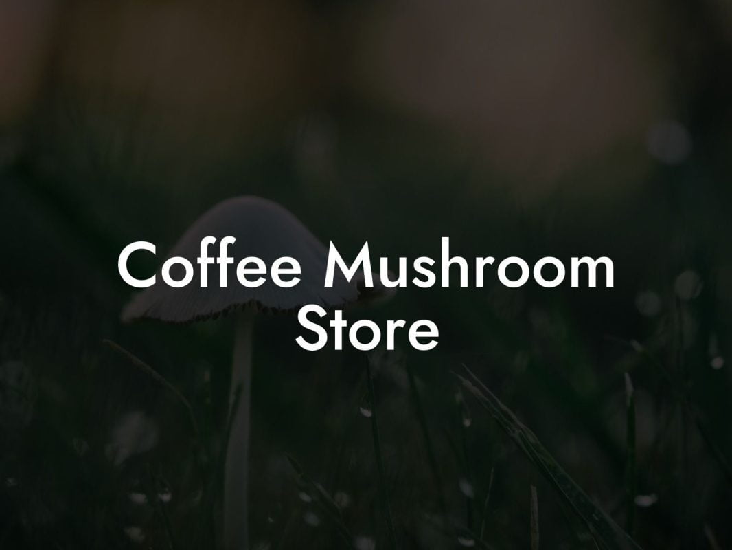 Coffee Mushroom Store