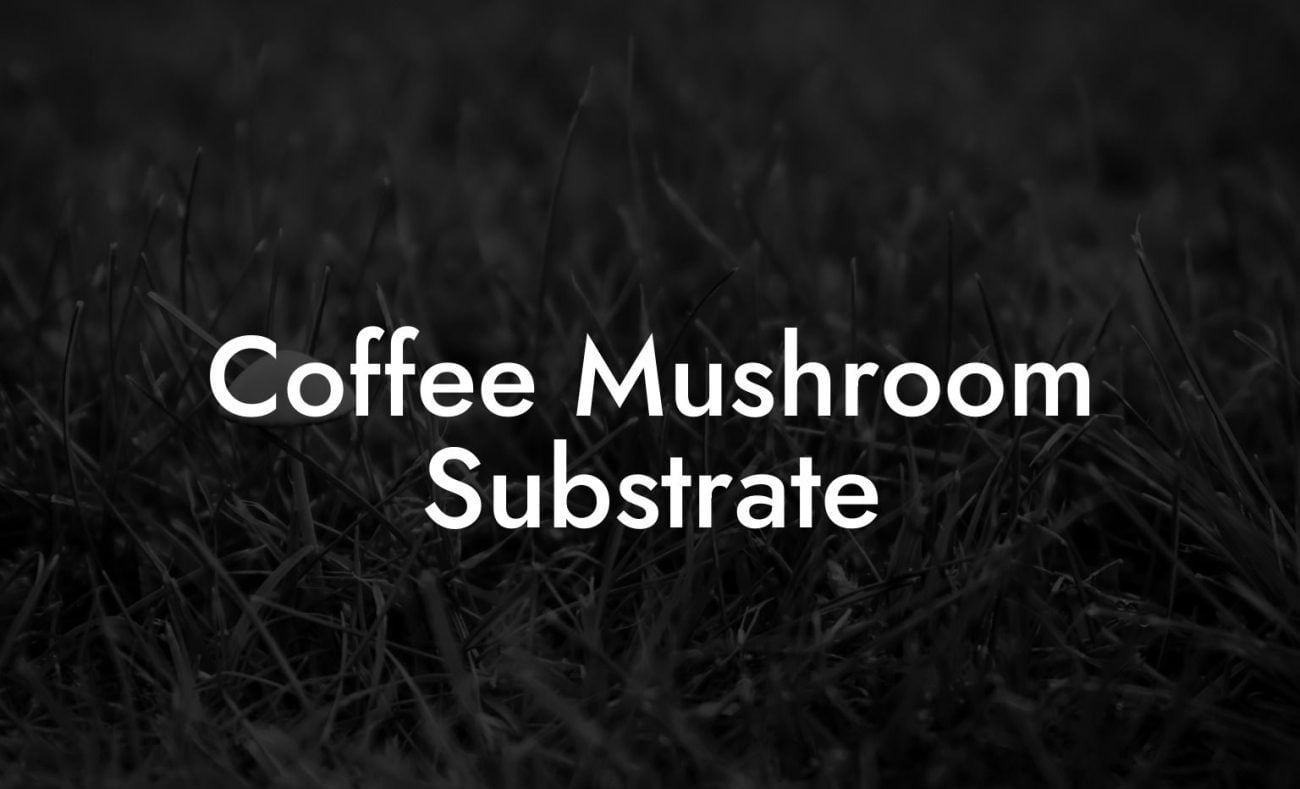 Coffee Mushroom Substrate