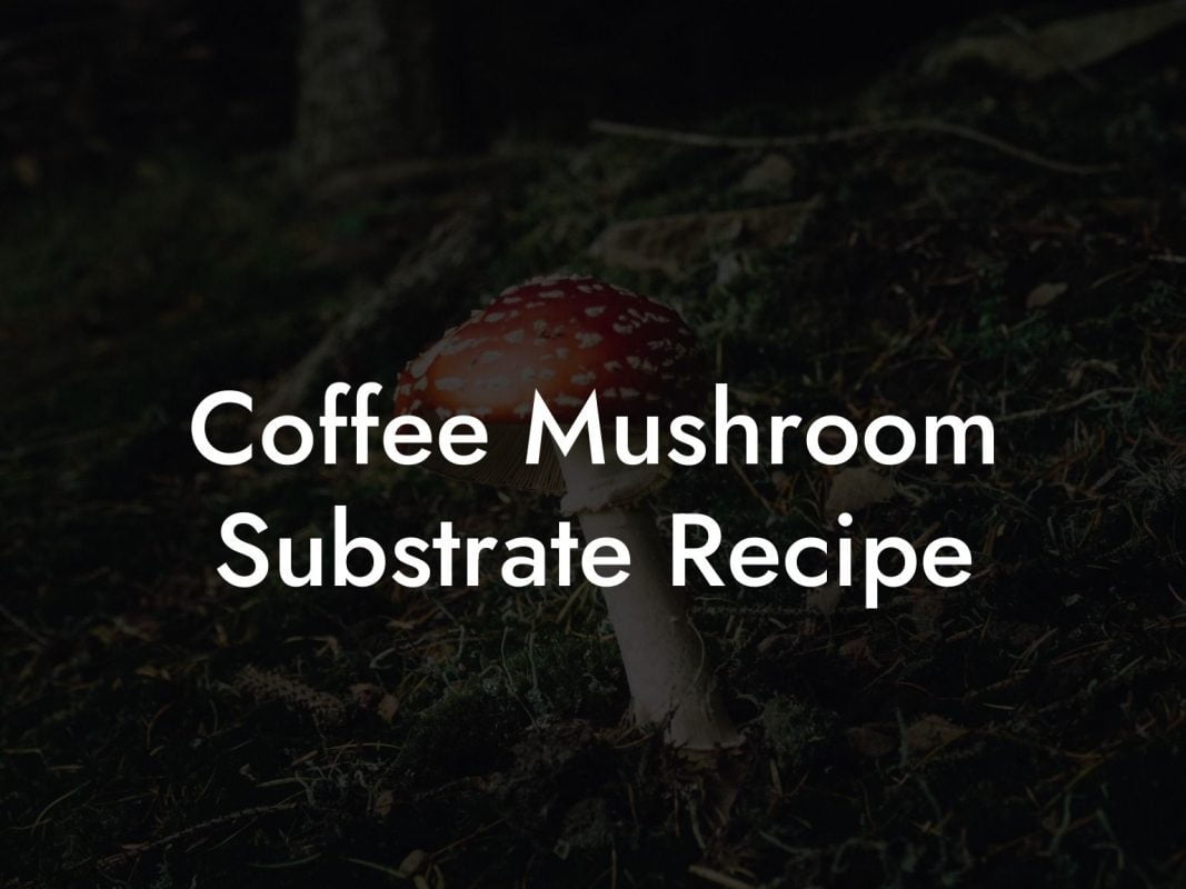 Coffee Mushroom Substrate Recipe