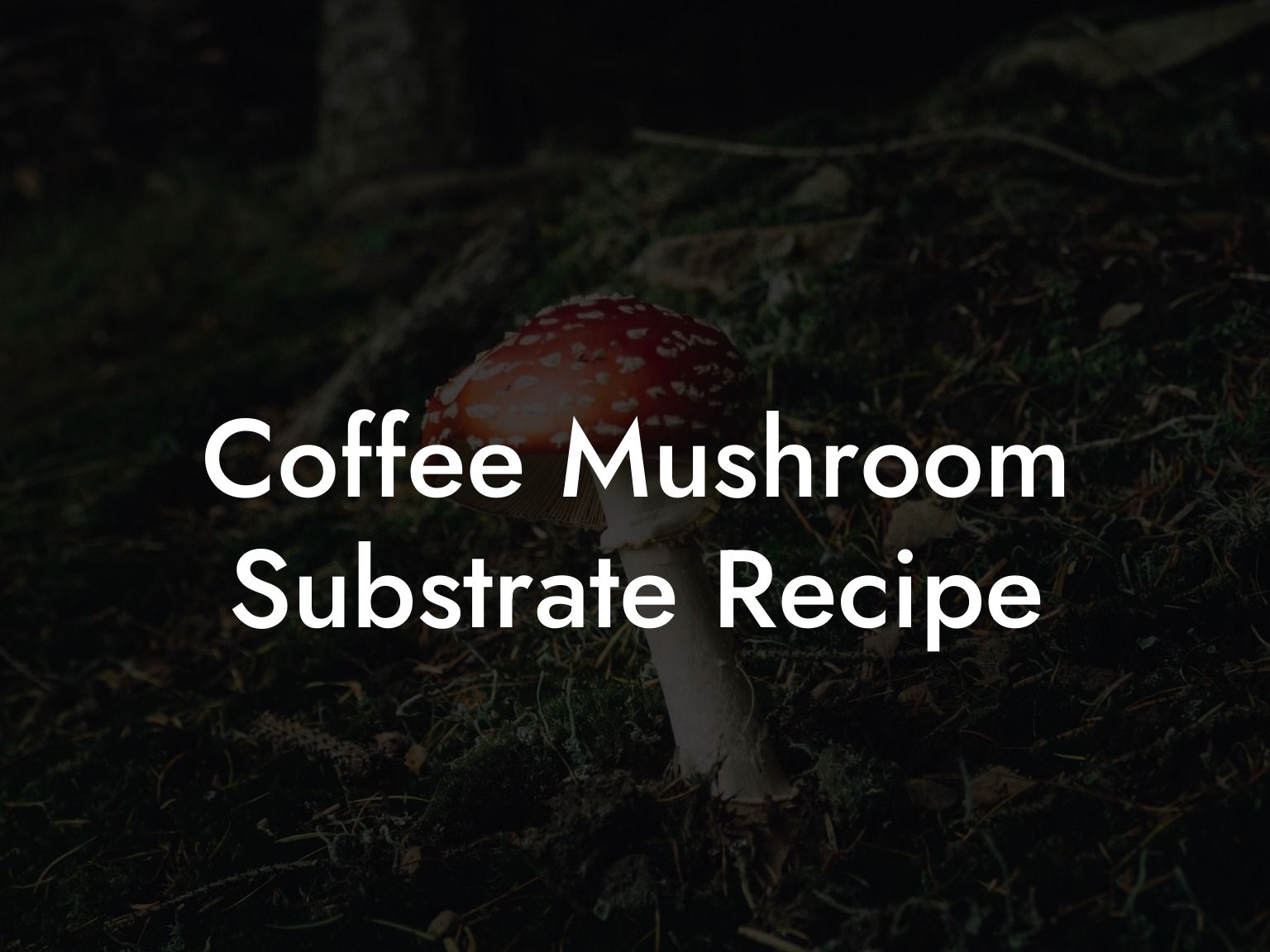 Coffee Mushroom Substrate Recipe