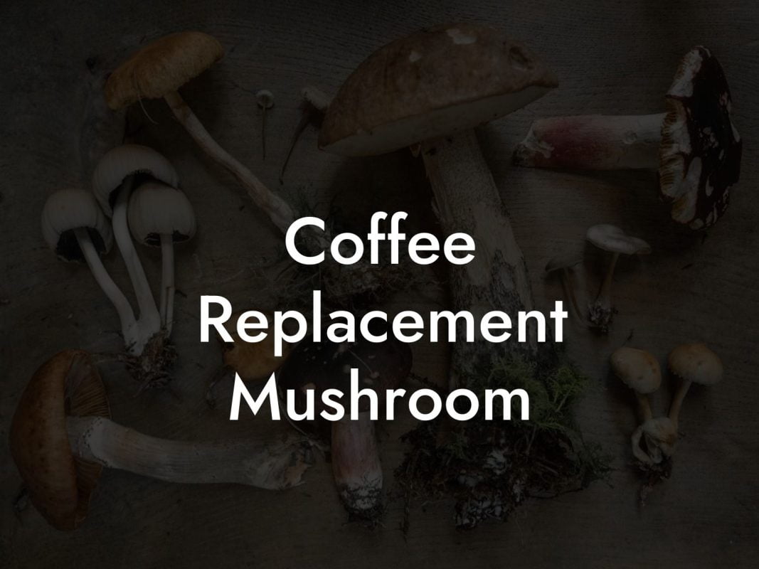 Coffee Replacement Mushroom
