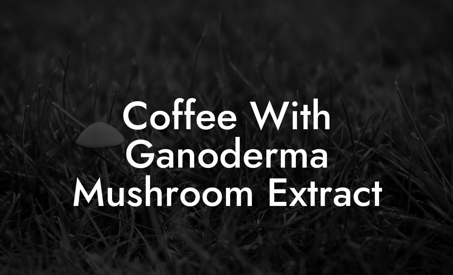 Coffee With Ganoderma Mushroom Extract