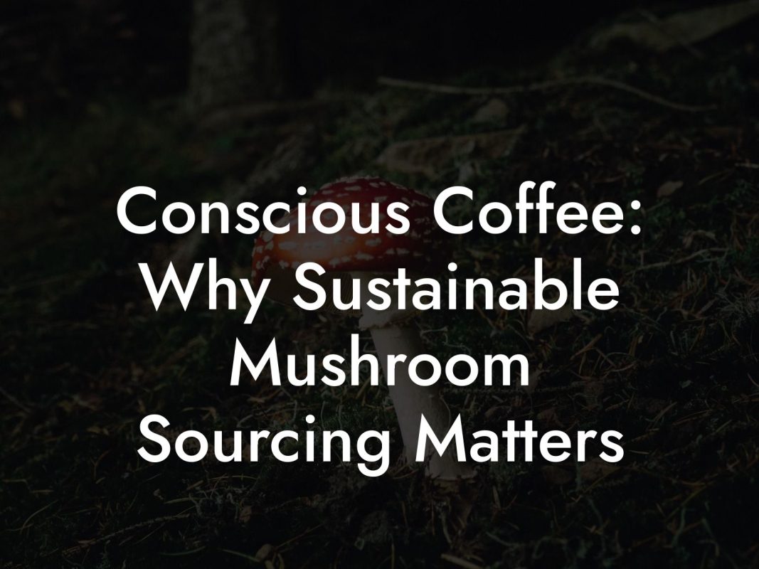 Conscious Coffee: Why Sustainable Mushroom Sourcing Matters Conscious Coffee: Why Sustainable Mushroom Sourcing Matters