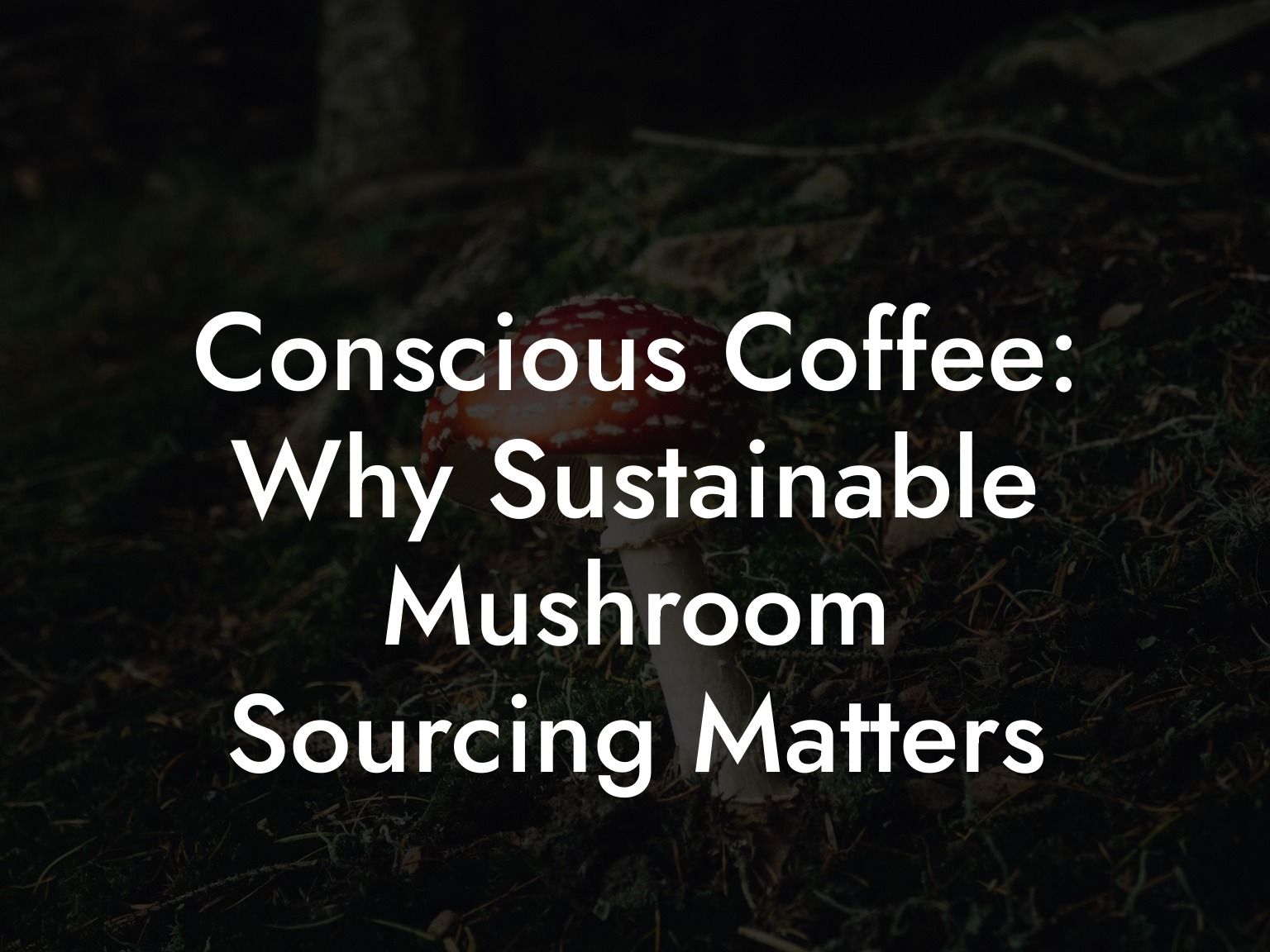 Conscious Coffee: Why Sustainable Mushroom Sourcing Matters