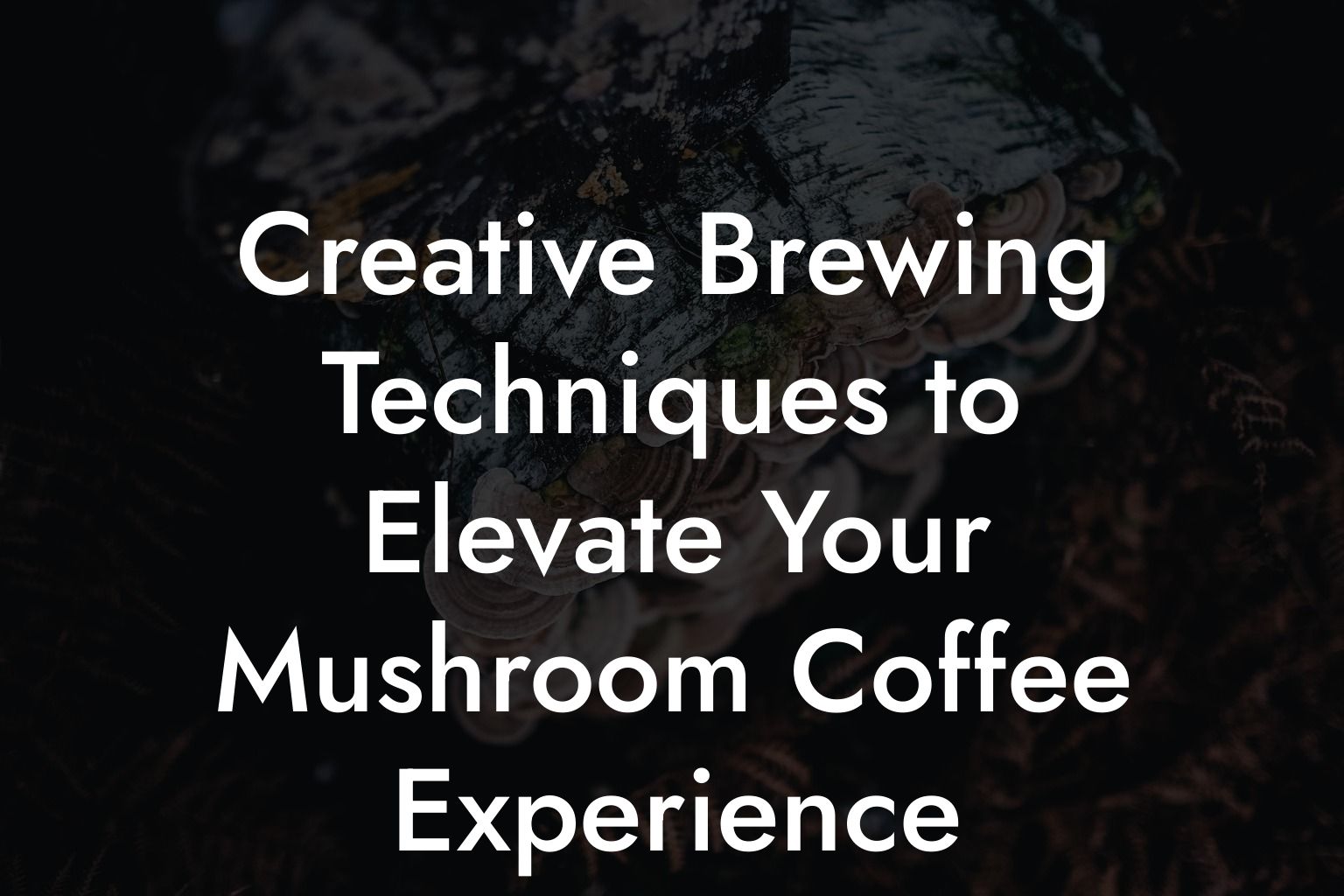 Creative Brewing Techniques to Elevate Your Mushroom Coffee Experience