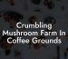 Crumbling Mushroom Farm In Coffee Grounds