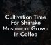 Cultivation Time For Shiitake Mushroom Grown In Coffee