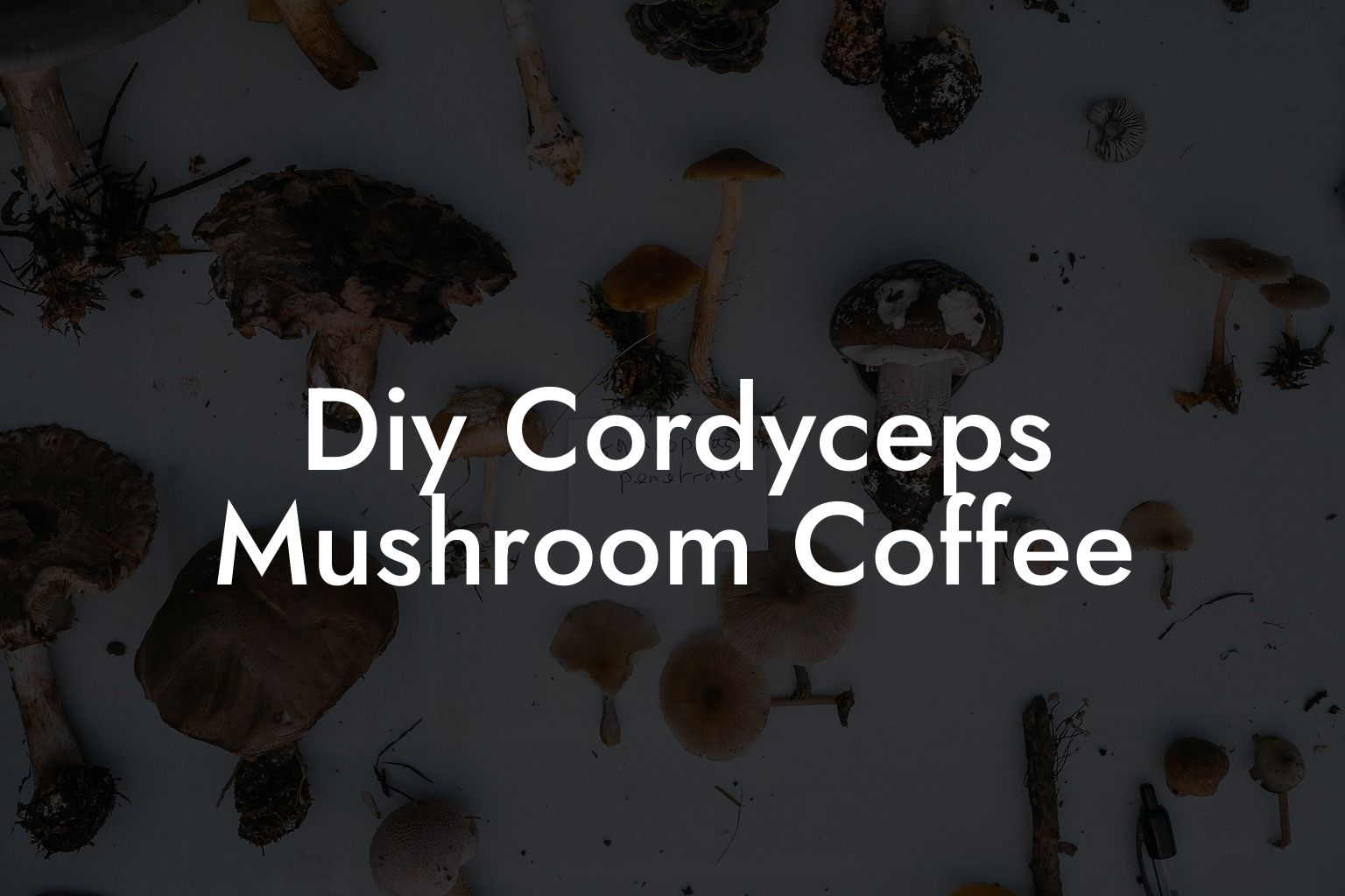 Diy Cordyceps Mushroom Coffee