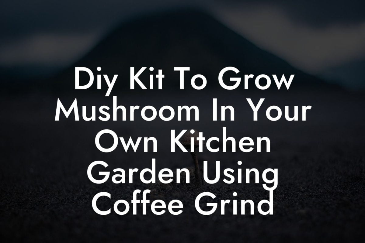 Diy Kit To Grow Mushroom In Your Own Kitchen Garden Using Coffee Grind