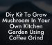 Diy Kit To Grow Mushroom In Your Own Kitchen Garden Using Coffee Grind