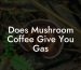 Does Mushroom Coffee Give You Gas