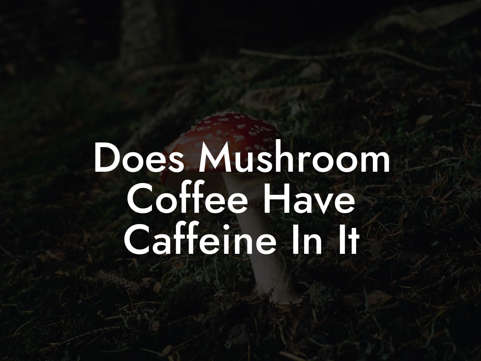 Does Mushroom Coffee Have Caffeine In It