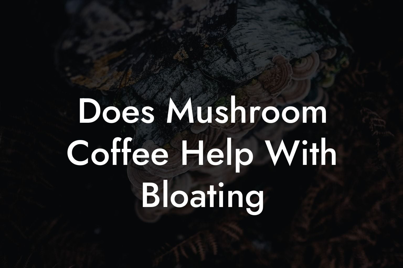 Does Mushroom Coffee Help With Bloating
