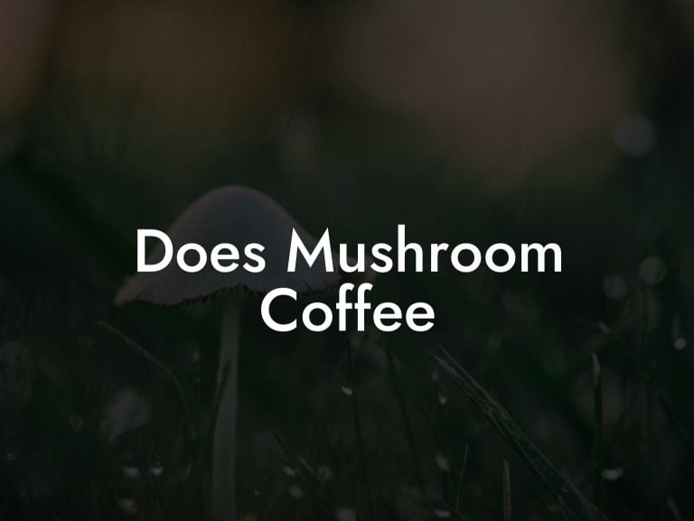 Does Mushroom Coffee Mr Mushroom