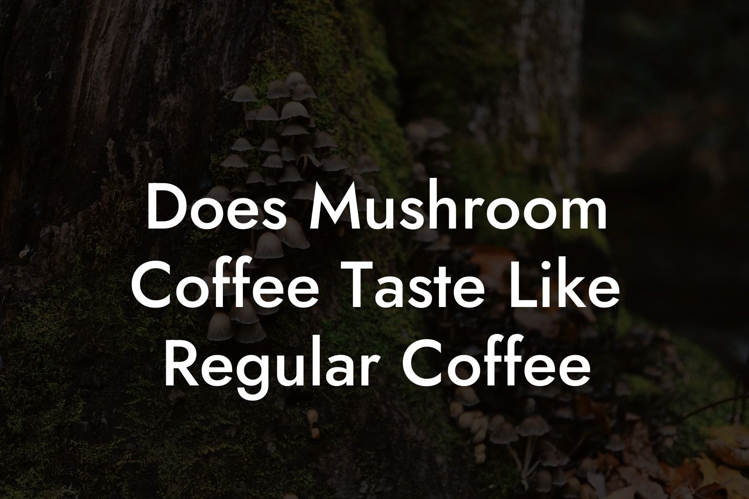 Does Mushroom Coffee Taste Like Regular Coffee