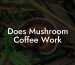Does Mushroom Coffee Work