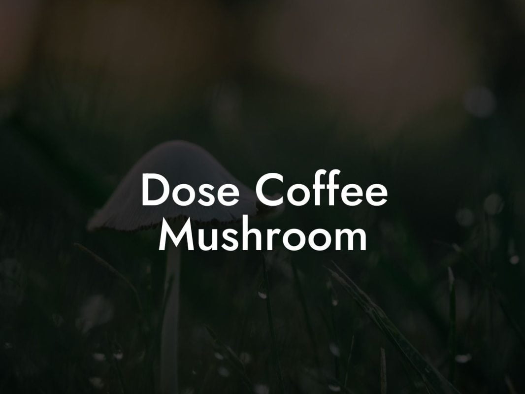 Dose Coffee Mushroom
