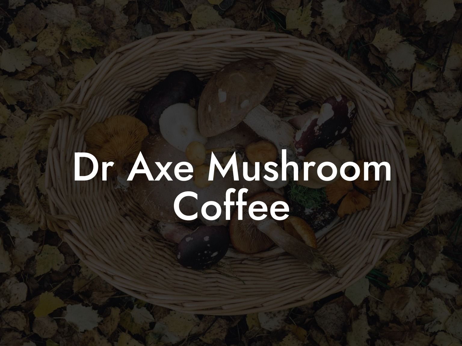 Dr Axe Mushroom Coffee
