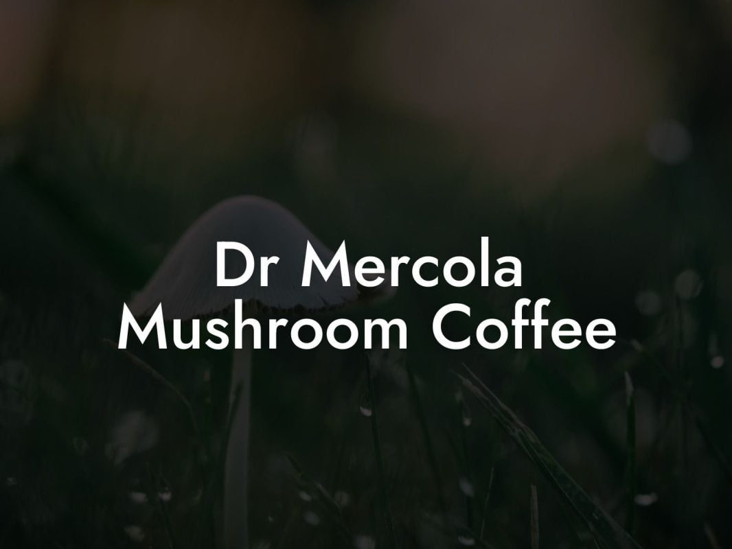 Dr Mercola Mushroom Coffee