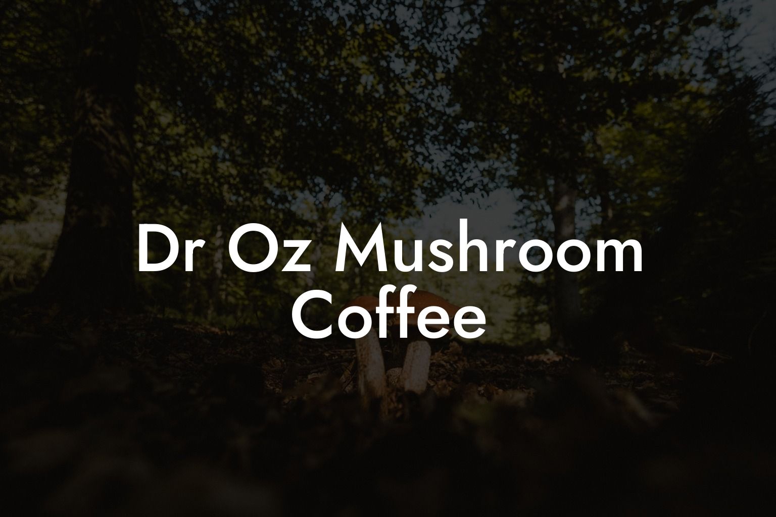 Dr Oz Mushroom Coffee