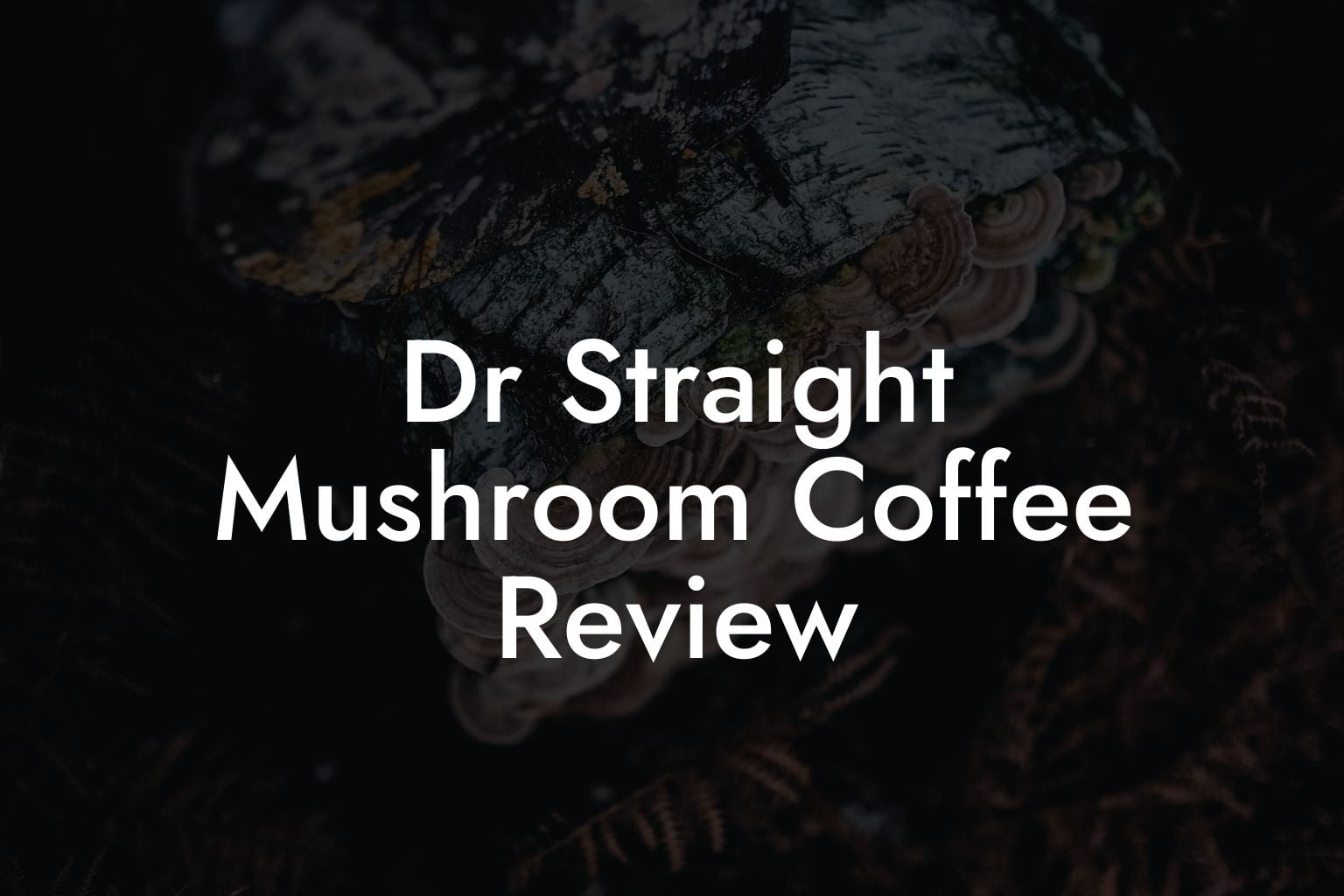 Dr Straight Mushroom Coffee Review