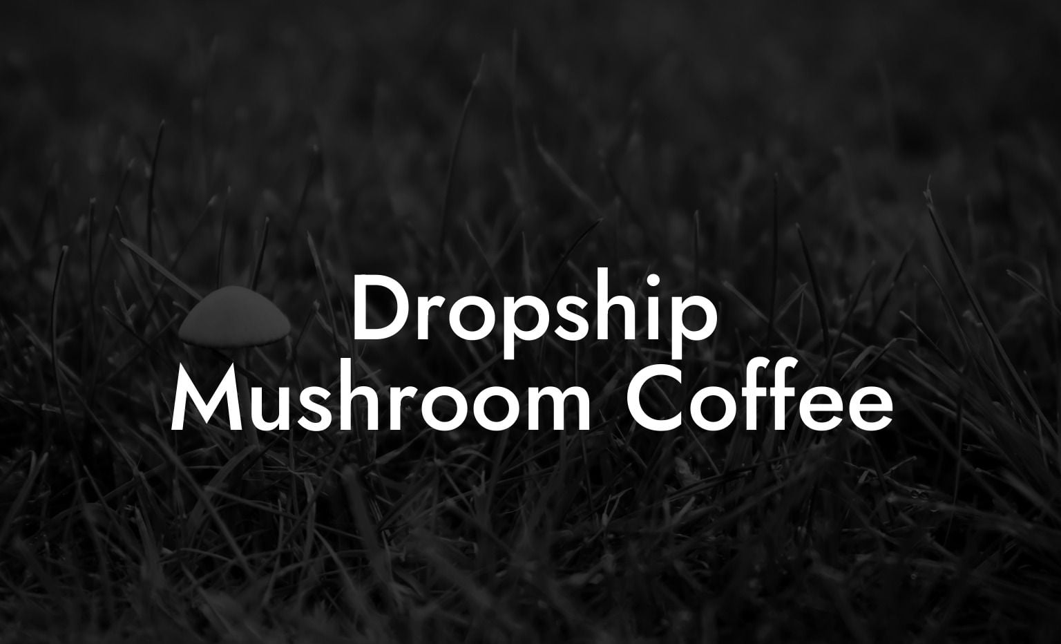 Dropship Mushroom Coffee