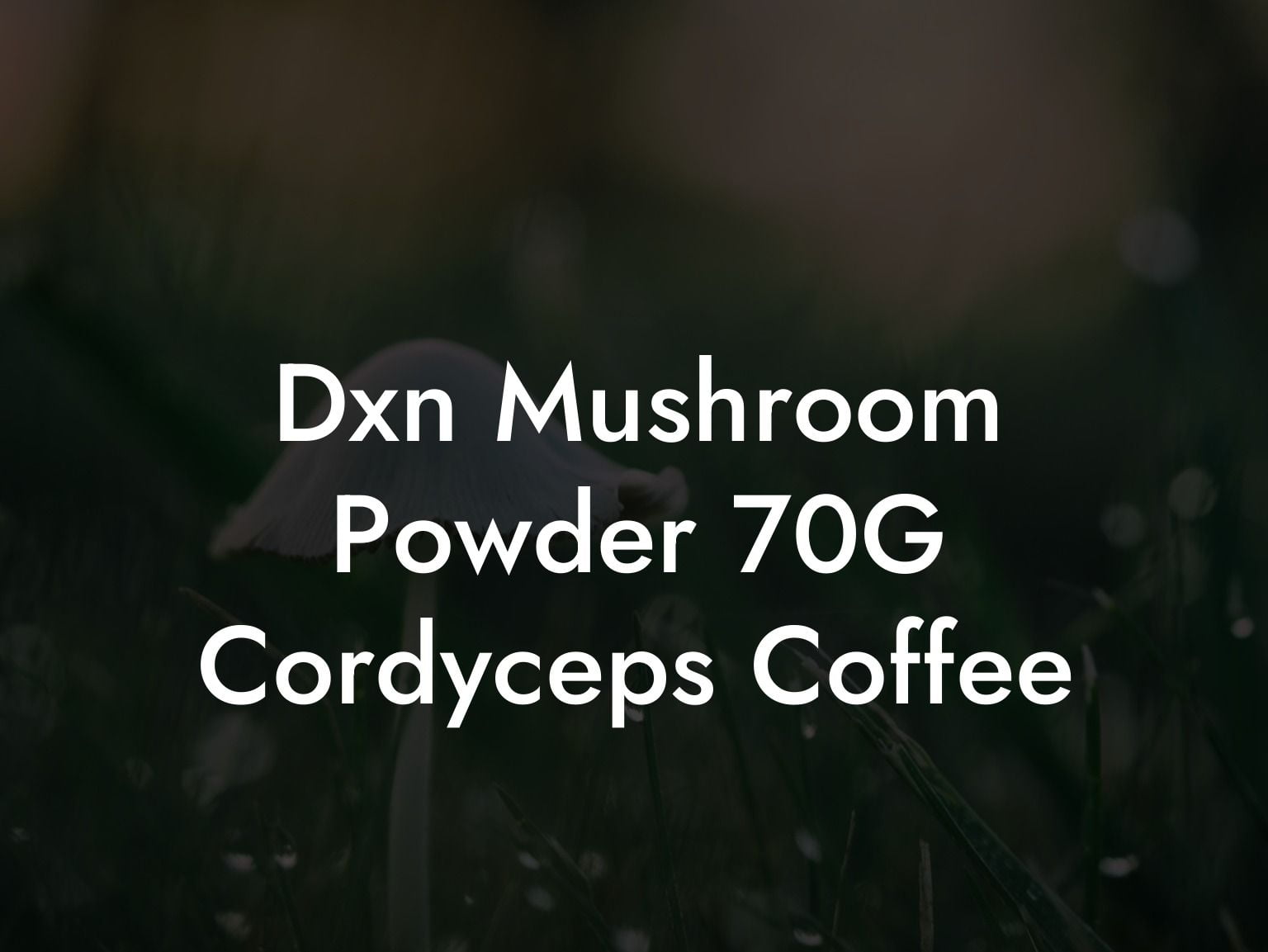 Dxn Mushroom Powder 70G Cordyceps Coffee