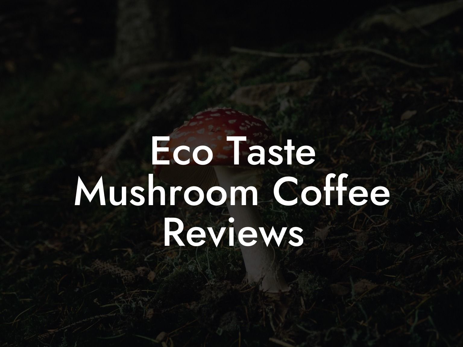 Eco Taste Mushroom Coffee Reviews