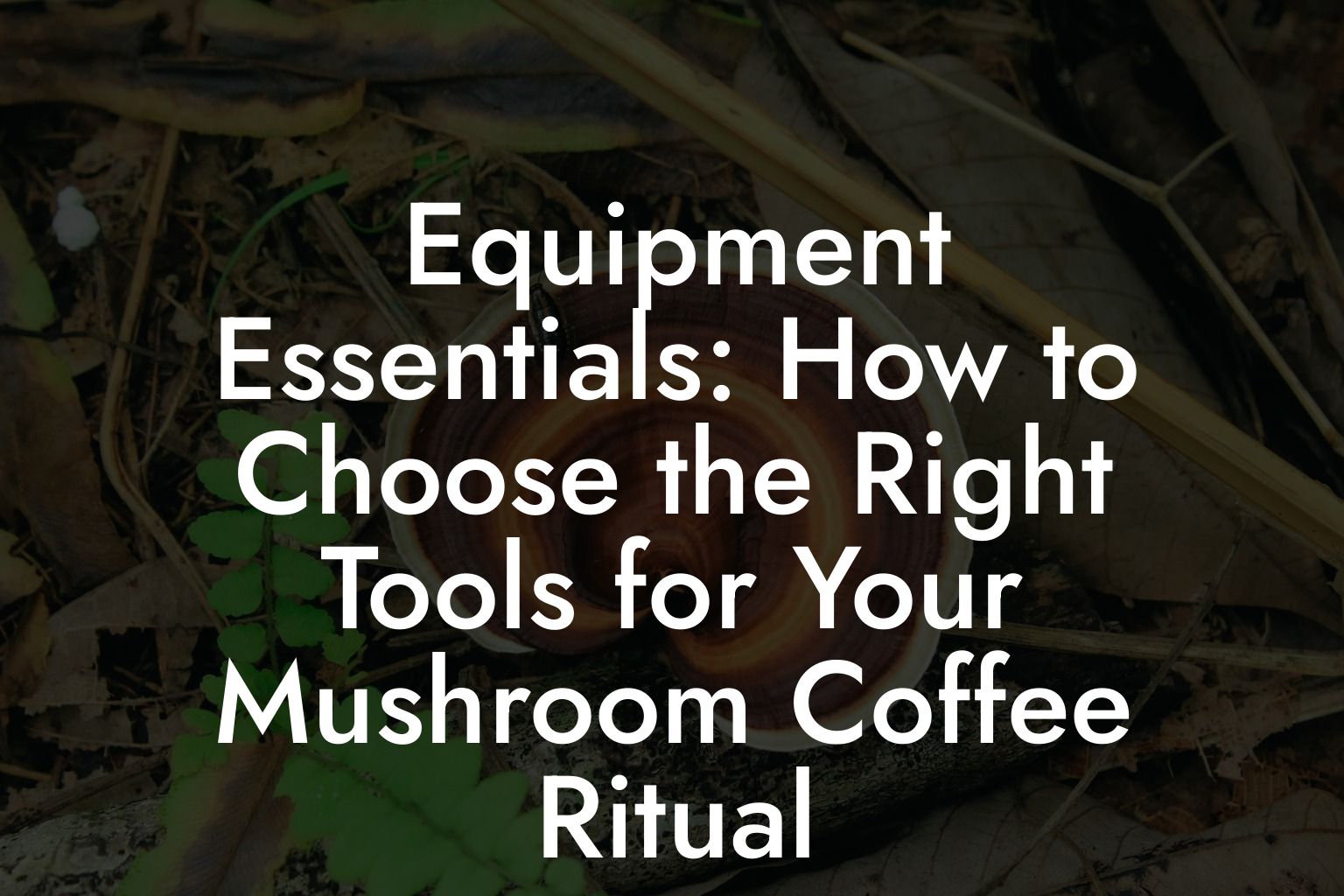 Equipment Essentials: How to Choose the Right Tools for Your Mushroom Coffee Ritual