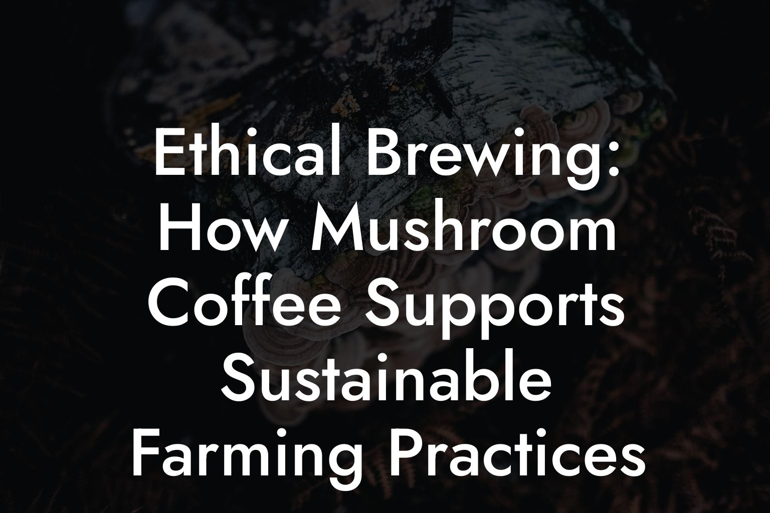 Ethical Brewing: How Mushroom Coffee Supports Sustainable Farming Practices