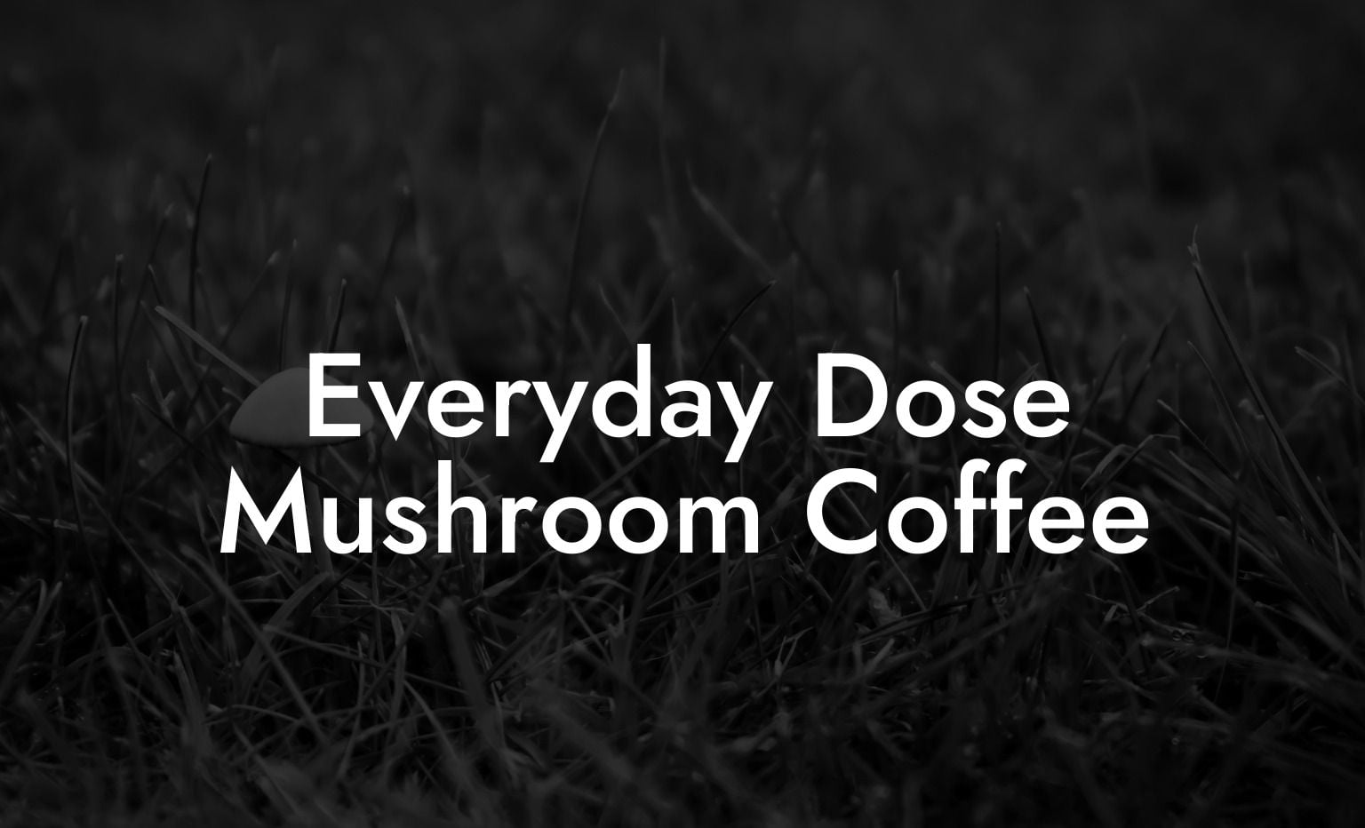 Everyday Dose Mushroom Coffee