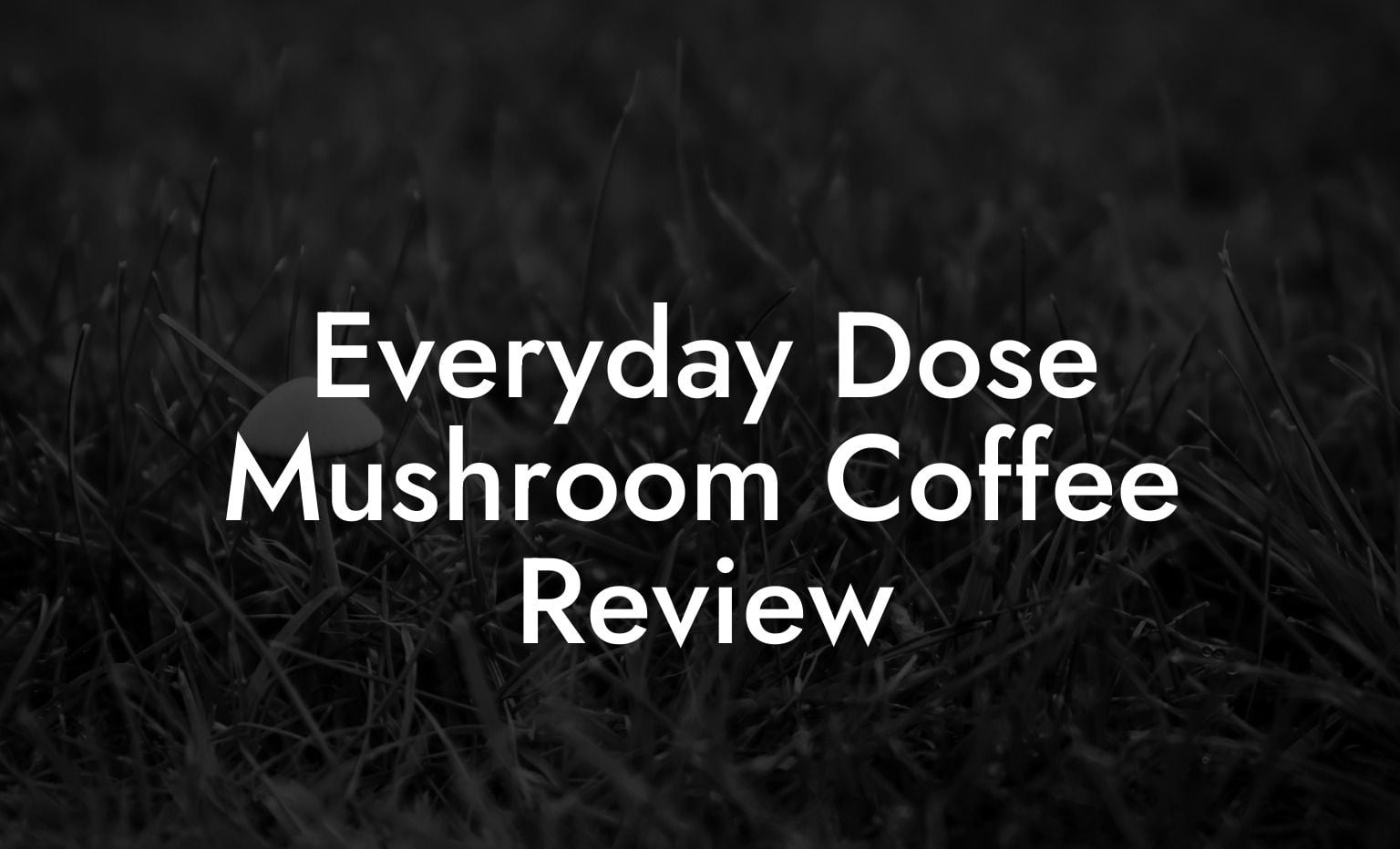 Everyday Dose Mushroom Coffee Review