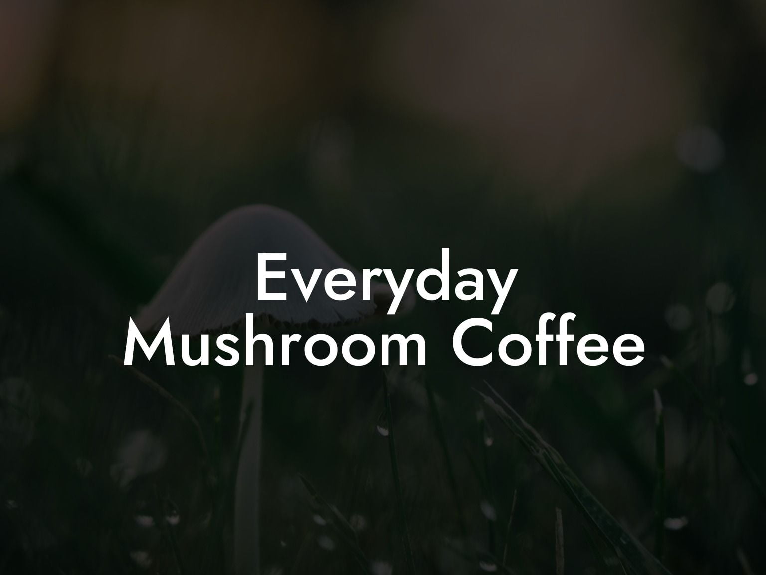 Everyday Mushroom Coffee