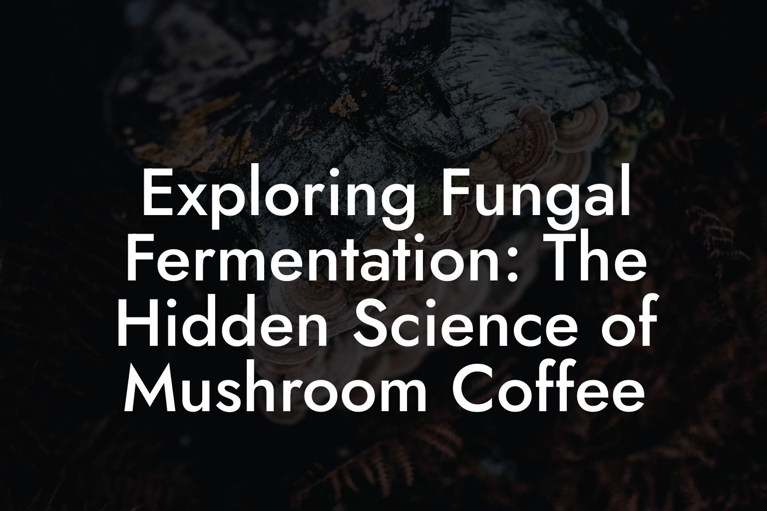 Exploring Fungal Fermentation: The Hidden Science of Mushroom Coffee