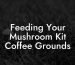 Feeding Your Mushroom Kit Coffee Grounds
