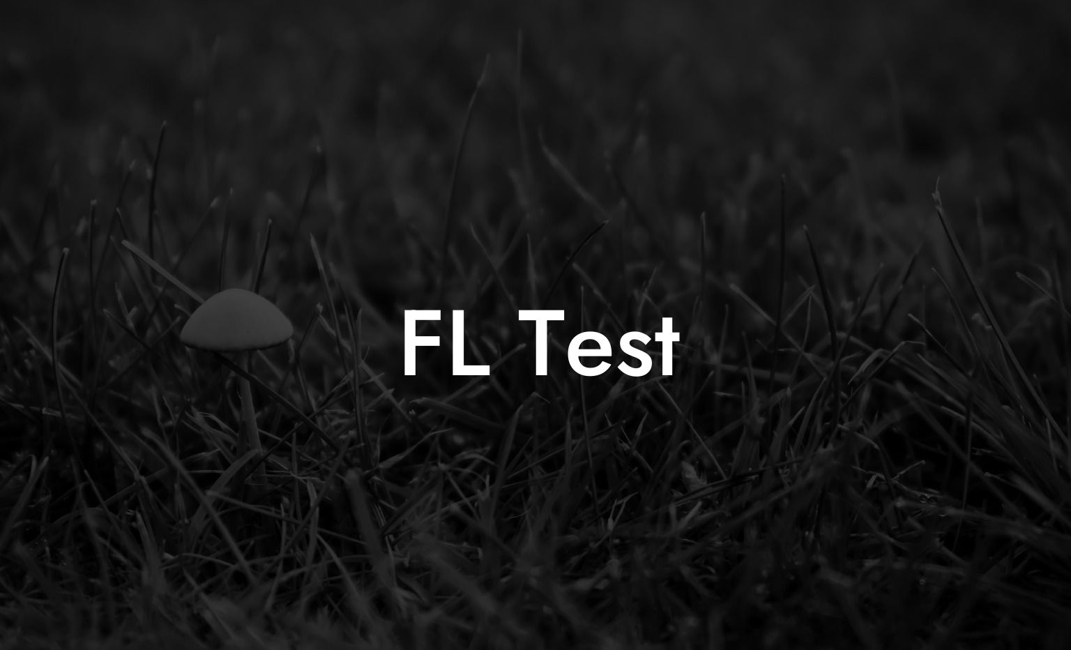 FL Test